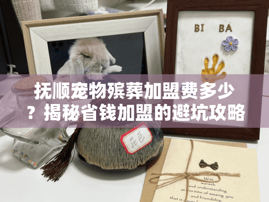 抚顺宠物殡葬加盟费多少？揭秘省钱加盟的避坑攻略