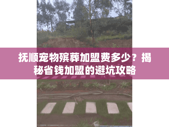 抚顺宠物殡葬加盟费多少？揭秘省钱加盟的避坑攻略