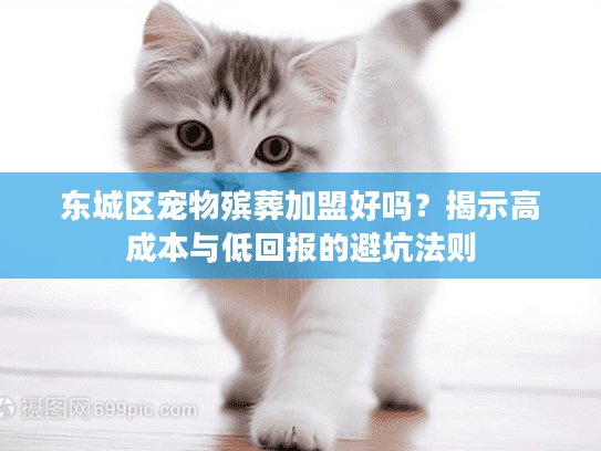东城区宠物殡葬加盟好吗？揭示高成本与低回报的避坑法则