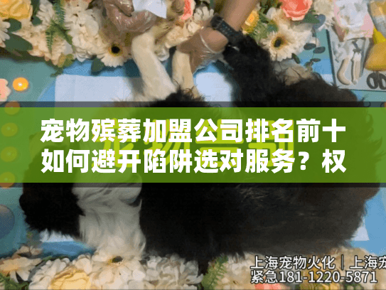 宠物殡葬加盟公司排名前十如何避开陷阱选对服务？权威2025榜单解析