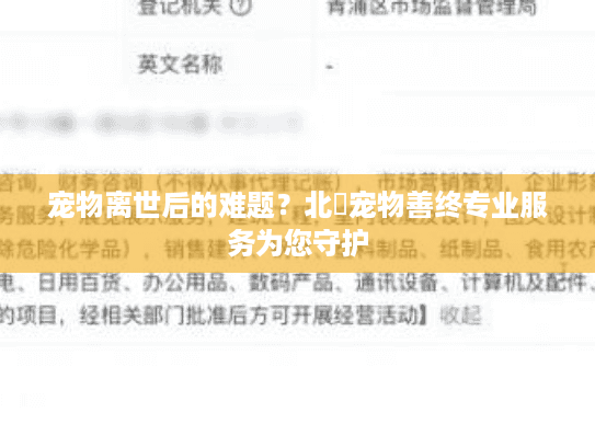 宠物离世后的难题？北滘宠物善终专业服务为您守护