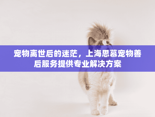 宠物离世后的迷茫，上海思慕宠物善后服务提供专业解决方案