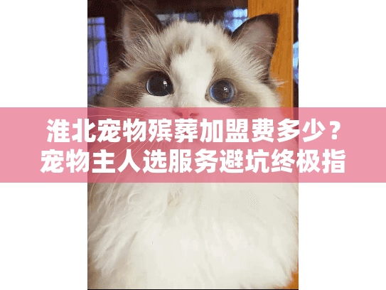 淮北宠物殡葬加盟费多少?宠物主人选服务避坑终极指南 淮北宠物殡葬加盟费多少?宠物主人选服务避坑终极指南