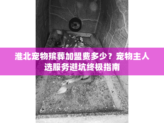 淮北宠物殡葬加盟费多少?宠物主人选服务避坑终极指南 淮北宠物殡葬加盟费多少?宠物主人选服务避坑终极指南