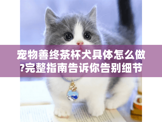 宠物善终茶杯犬具体怎么做?完整指南告诉你告别细节
