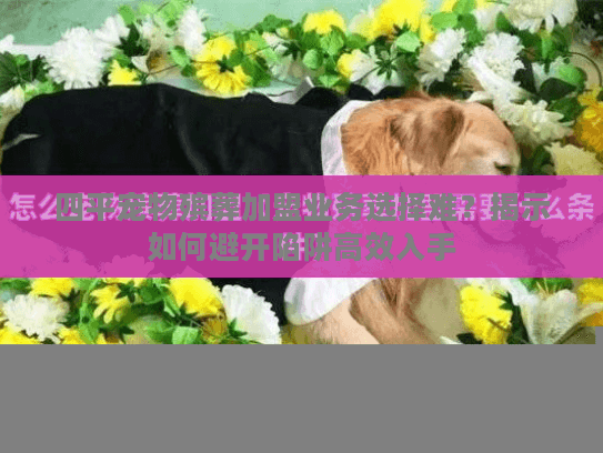 四平宠物殡葬加盟业务选择难？揭示如何避开陷阱高效入手