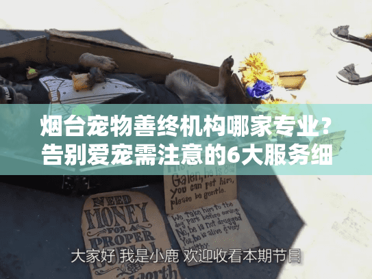 烟台宠物善终机构哪家专业?告别爱宠需注意的6大服务细节 烟台宠物善终机构哪家专业?告别爱宠需注意的6大服务细节