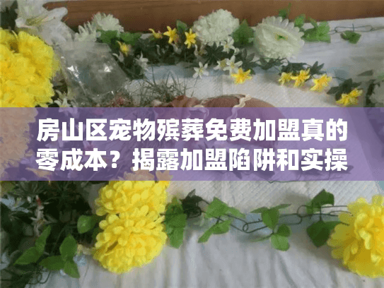 房山区宠物殡葬免费加盟真的零成本？揭露加盟陷阱和实操避坑攻略