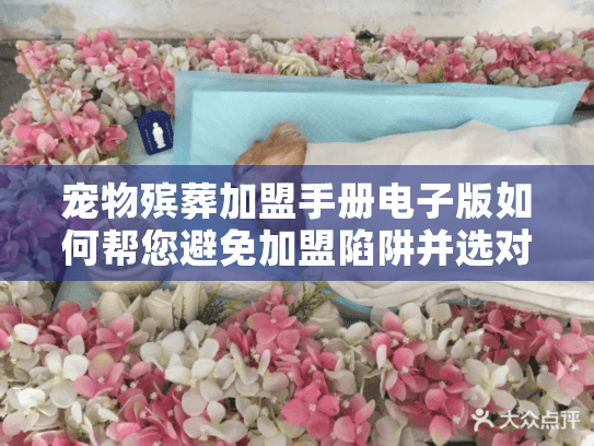 宠物殡葬加盟手册电子版如何帮您避免加盟陷阱并选对服务？