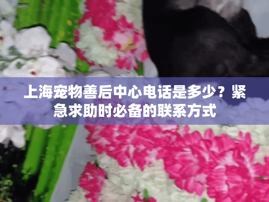 上海宠物善后中心电话是多少？紧急求助时必备的联系方式