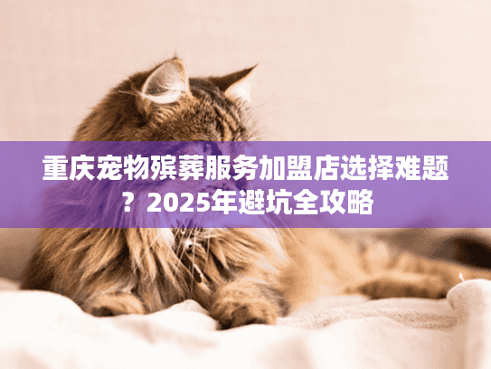 重庆宠物殡葬服务加盟店选择难题?2025年避坑全攻略 重庆宠物殡葬服务加盟店选择难题?2025年避坑全攻略