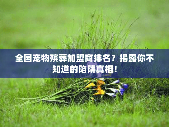 全国宠物殡葬加盟商排名?揭露你不知道的陷阱真相! 全国宠物殡葬加盟商排名?揭露你不知道的陷阱真相!