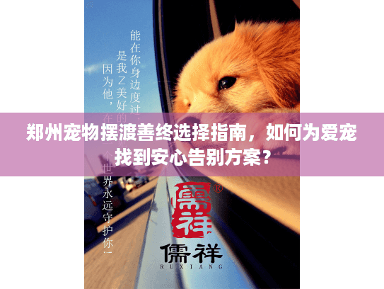 郑州宠物摆渡善终选择指南，如何为爱宠找到安心告别方案？