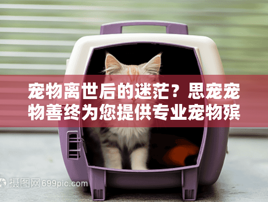 宠物离世后的迷茫？思宠宠物善终为您提供专业宠物殡葬服务
