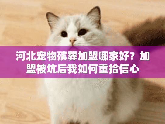 河北宠物殡葬加盟哪家好？加盟被坑后我如何重拾信心