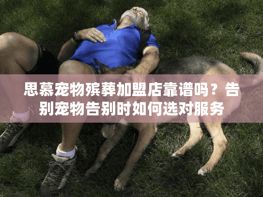 思慕宠物殡葬加盟店靠谱吗?告别宠物告别时如何选对服务 思慕宠物殡葬加盟店靠谱吗?告别宠物告别时如何选对服务