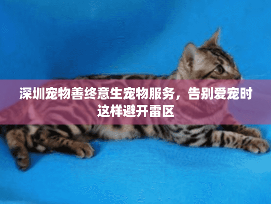 深圳宠物善终意生宠物服务，告别爱宠时这样避开雷区