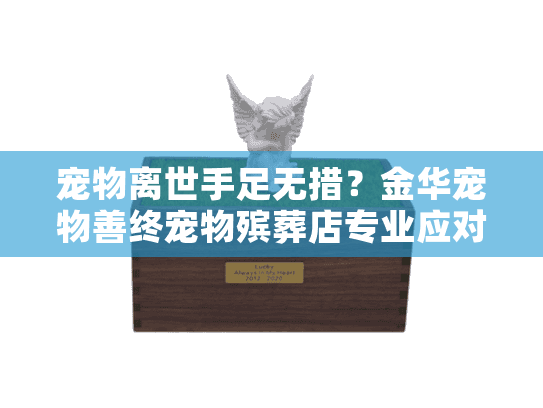 宠物离世手足无措？金华宠物善终宠物殡葬店专业应对方案