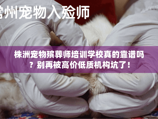 株洲宠物殡葬师培训学校真的靠谱吗？别再被高价低质机构坑了！