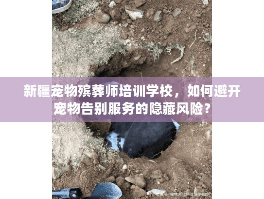 新疆宠物殡葬师培训学校，如何避开宠物告别服务的隐藏风险？