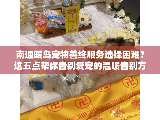 南通暖岛宠物善终服务选择困难？这五点帮你告别爱宠的温暖告别方案