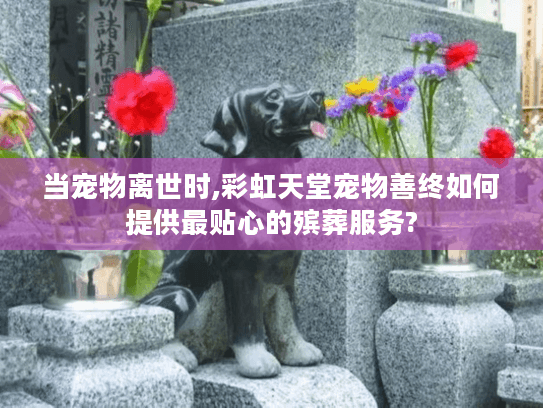当宠物离世时,彩虹天堂宠物善终如何提供最贴心的殡葬服务?