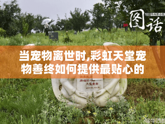 当宠物离世时,彩虹天堂宠物善终如何提供最贴心的殡葬服务?