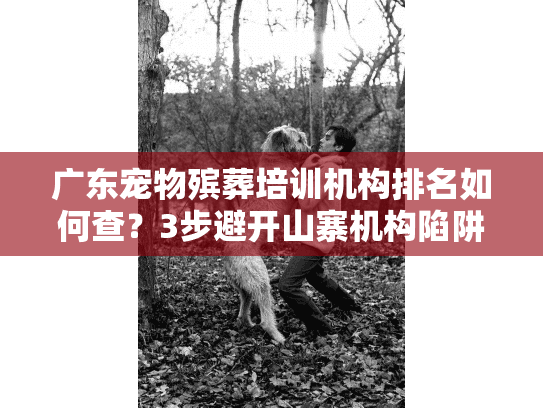 广东宠物殡葬培训机构排名如何查？3步避开山寨机构陷阱！