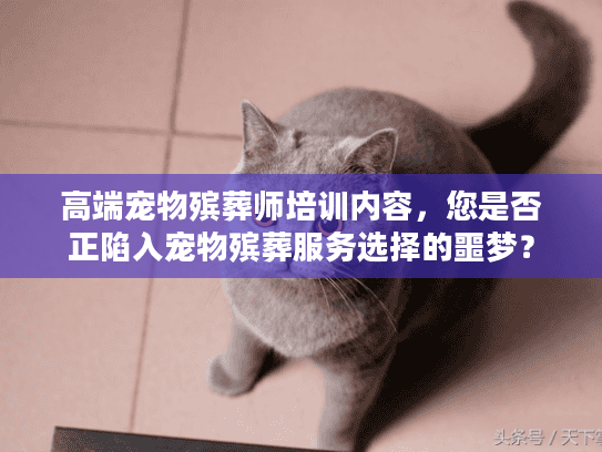 高端宠物殡葬师培训内容，您是否正陷入宠物殡葬服务选择的噩梦？