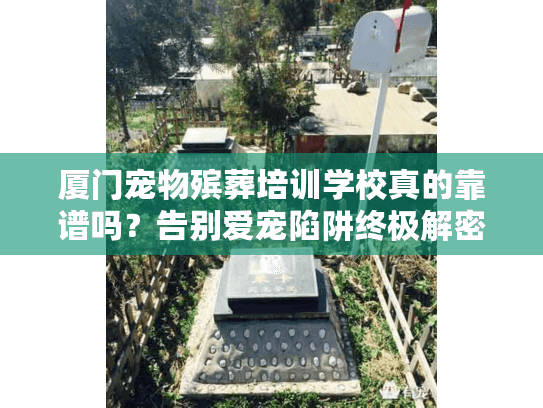 厦门宠物殡葬培训学校真的靠谱吗？告别爱宠陷阱终极解密