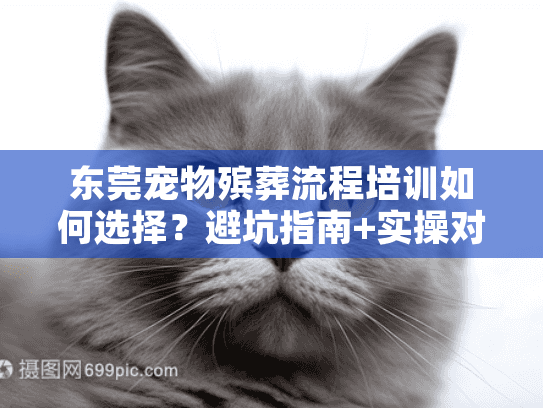 东莞宠物殡葬流程培训如何选择？避坑指南+实操对比