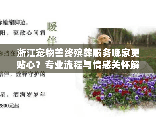 浙江宠物善终殡葬服务哪家更贴心？专业流程与情感关怀解析