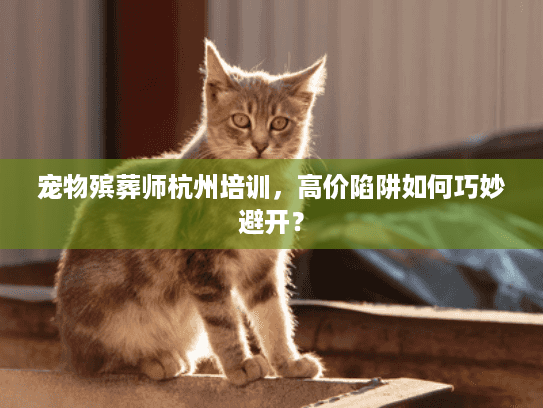 宠物殡葬师杭州培训,高价陷阱如何巧妙避开? 宠物殡葬师杭州培训,高价陷阱如何巧妙避开?