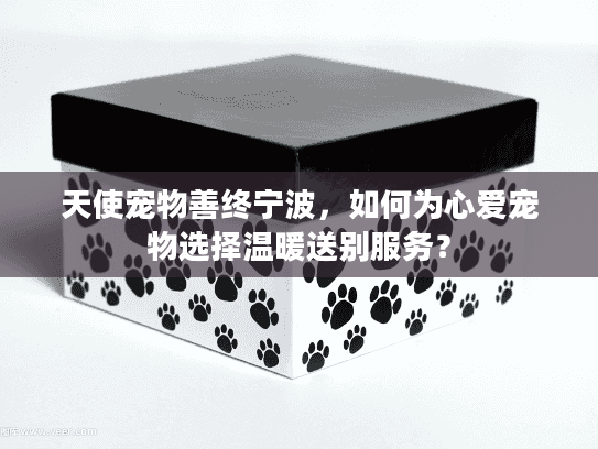 天使宠物善终宁波，如何为心爱宠物选择温暖送别服务？