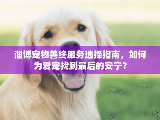 淄博宠物善终服务选择指南，如何为爱宠找到最后的安宁？