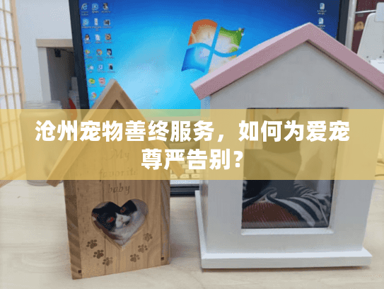 沧州宠物善终服务，如何为爱宠尊严告别？