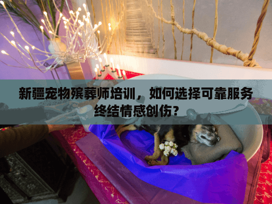 新疆宠物殡葬师培训，如何选择可靠服务终结情感创伤？