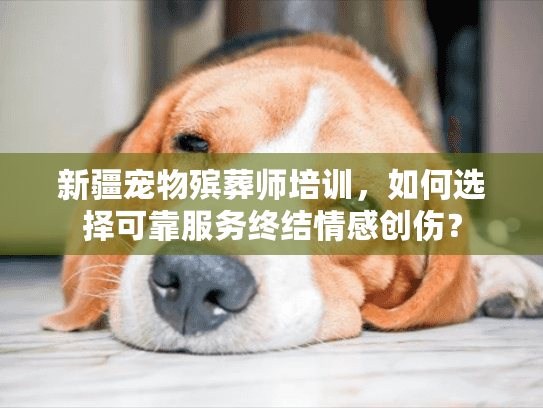 新疆宠物殡葬师培训，如何选择可靠服务终结情感创伤？