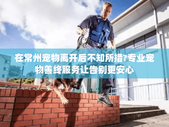 在常州宠物离开后不知所措?专业宠物善终服务让告别更安心