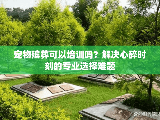 宠物殡葬可以培训吗？解决心碎时刻的专业选择难题