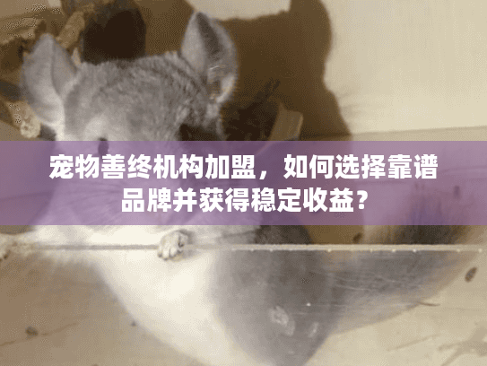 宠物善终机构加盟，如何选择靠谱品牌并获得稳定收益？