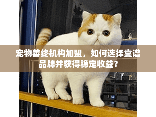宠物善终机构加盟，如何选择靠谱品牌并获得稳定收益？