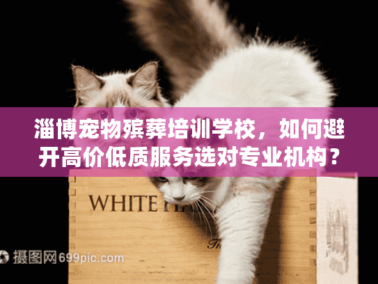 淄博宠物殡葬培训学校，如何避开高价低质服务选对专业机构？