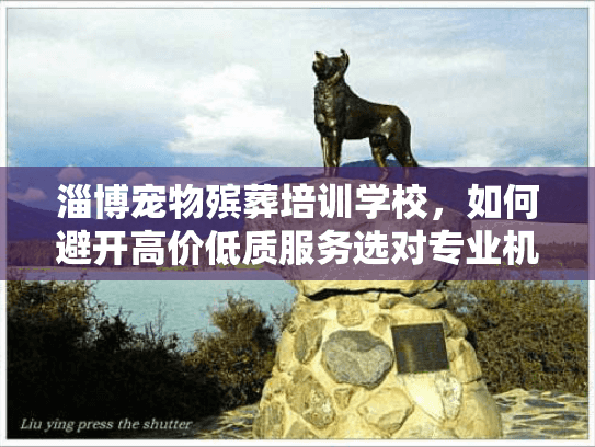 淄博宠物殡葬培训学校，如何避开高价低质服务选对专业机构？