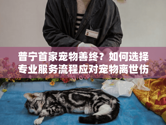 普宁首家宠物善终？如何选择专业服务流程应对宠物离世伤痛