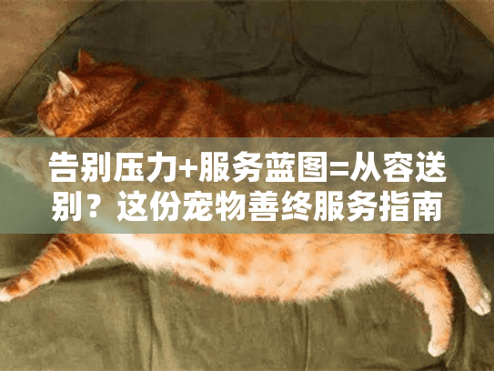 告别压力+服务蓝图=从容送别？这份宠物善终服务指南请收好