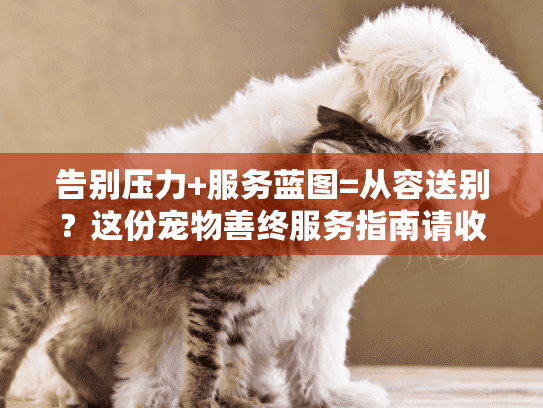 告别压力+服务蓝图=从容送别？这份宠物善终服务指南请收好