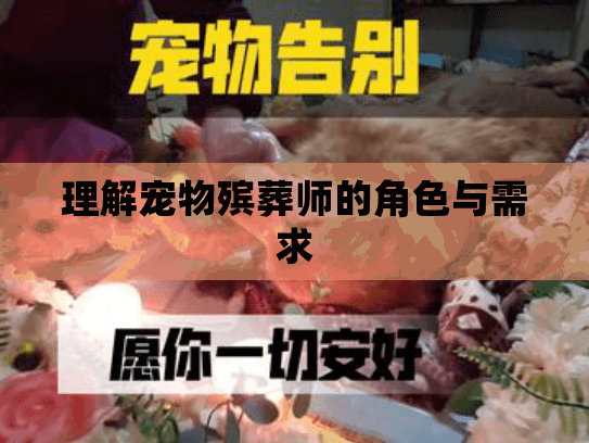 理解宠物殡葬师的角色与需求