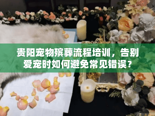 贵阳宠物殡葬流程培训，告别爱宠时如何避免常见错误？