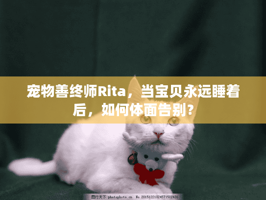 宠物善终师Rita，当宝贝永远睡着后，如何体面告别？